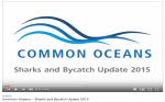 Common Oceans ABNJ Tuna Project - Sharks and Bycatch Update 2015